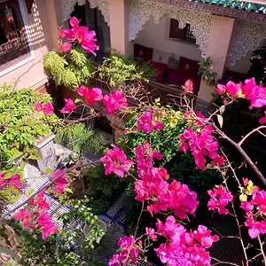 Toyour- Of Birds Riad